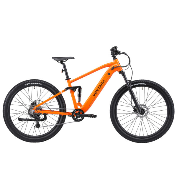 E-Bike Fully Mountainbike 29" THUNDER S